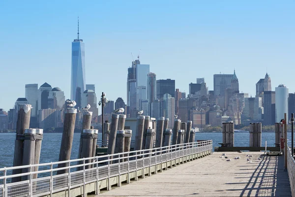 Skyline de New York et jetée avec mouettes, journée ensoleillée — Photo