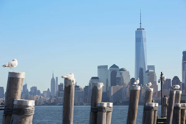 One World Trade Center y vista del horizonte de la ciudad de Nueva York y muelle, día soleado —  Fotos de Stock