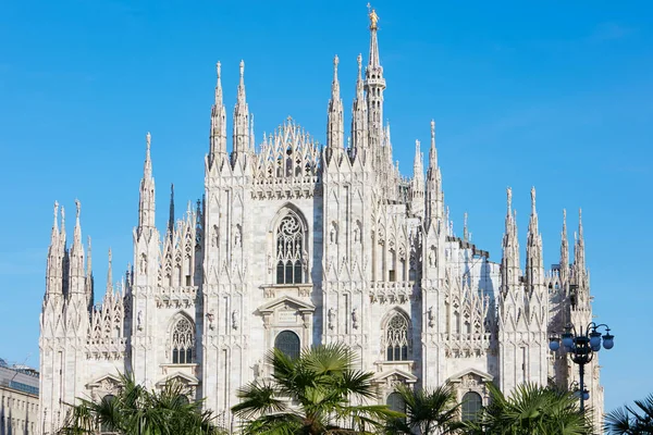 Milan Duomo cathedral with palm trees, blue sky in a sunny day — Stock Photo, Image