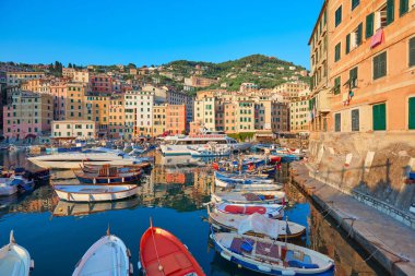 Camogli tipik İtalyan köyü ile renkli evler ve küçük liman, Liguria