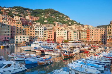 Camogli tipik köy renkli evleri ve İtalya küçük liman ile