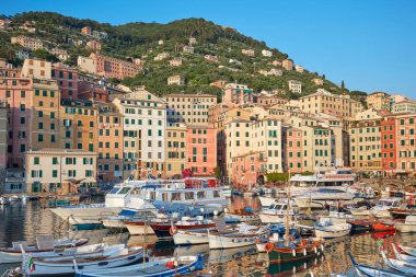 Camogli tipik köy renkli evleri ve İtalya küçük liman ile