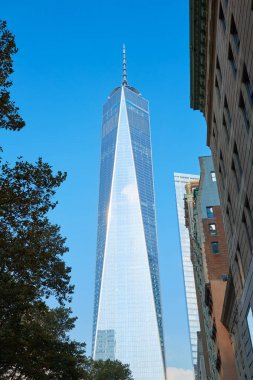 Binalar ve New York'ta açık mavi gökyüzü ile bir Dünya Ticaret Merkezi gökdelen