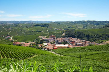 Üzüm bağları, İtalya tepelerde Langhe çevrili Barolo ortaçağdan kalma şehir