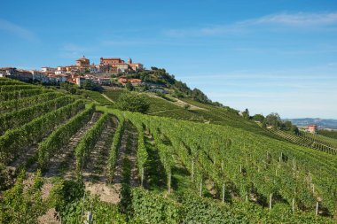 Piedmont, İtalya için güneşli bir gün üzüm bağları ile Langhe hills La Morra şehirde
