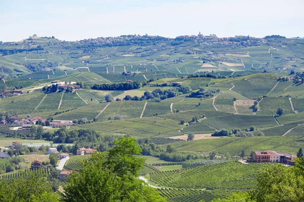 Zöld vidéken, Langhe hegyek Piemonte, Olaszország — Stock Fotó