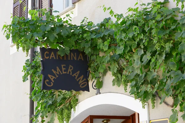 Camerano vinařství cedulka s zelené révy pobočky v regionu Piemont, Itálie — Stock fotografie