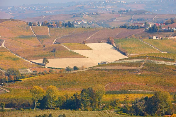 Vigneti, campi e colline in autunno con foglie gialle in Italia — Foto Stock