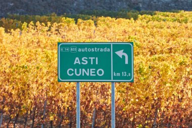 Asti Cuneo otoyol sokak tabelası ve bağ ile sarı sonbahar yaprakları, İtalya