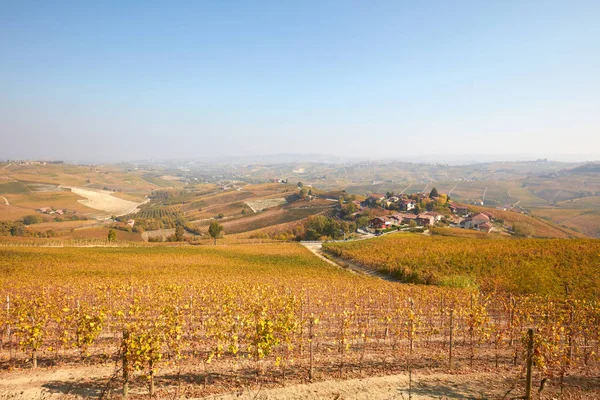 Vista das colinas de Langhe, vinhas no outono com folhas amarelas na Itália — Fotografia de Stock