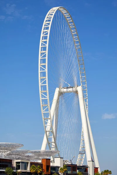 Ain Dubai, the largest observation wheel in a sunny day, clear blue sky in Dubai — Stock Photo, Image