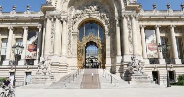 Petit Palais binası, güneşli bir yaz gününde bisikletle geçen bir adam, Paris, Fransa 'da açık mavi gökyüzü.. — Stok video