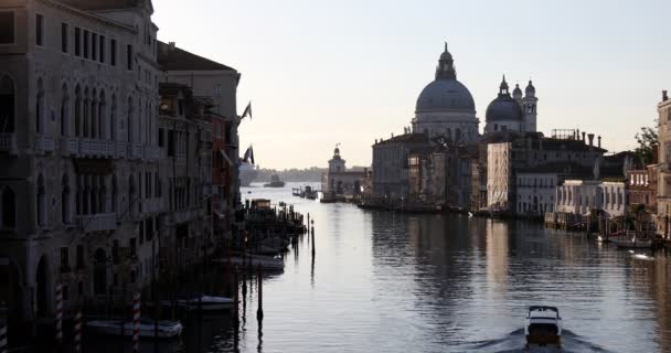 Grand Canal στη Βενετία με την Αγία Μαρία της Βασιλικής Υγείας, αργό μηχανοκίνητο σκάφος και τον ήλιο το πρωί στην Ιταλία — Αρχείο Βίντεο