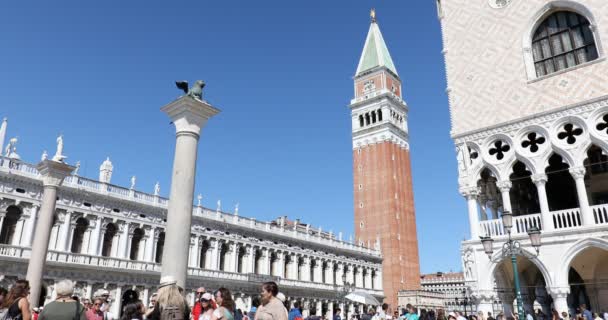 Люди и туристы на площади Сан-Марко со статуей льва на колонне и колокольне в солнечный день в Италии — стоковое видео
