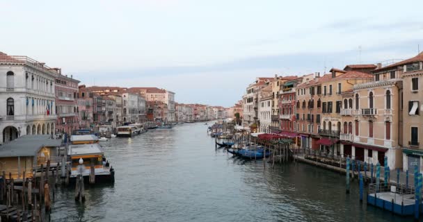 Gran Canal de Venecia, escena tranquila, nadie en la madrugada del verano en Italia — Vídeos de Stock