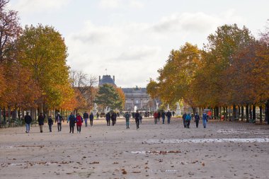 PARİS - 7 Kasım 2019 Tuileries Garden, güneşli bir sonbahar gününde Paris 'te insanlarla yürüyüş, kahverengi yapraklar.