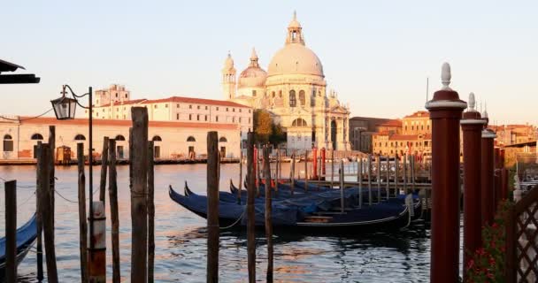 Veneza, Basílica de Santa Maria da Saúde e Grande Canal com gôndolas ancoradas no início da manhã — Vídeo de Stock