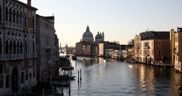 Großer Kanal in Venedig mit Basilika der Heiligen Maria der Gesundheit, Sonne am Morgen in Italien — Stockvideo