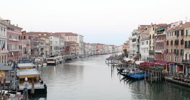 Gran Canal de Venecia, aguas tranquilas por la mañana temprano en verano en Italia — Vídeos de Stock