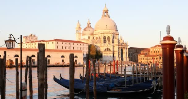 Wenecja, bazylika Najświętszej Marii Panny i Canal Grande z gondolami we wczesnym świcie Wideo Stockowe bez tantiem