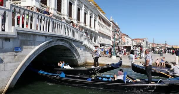 ゴンドラに乗っている人や観光客、橋やドックを歩くイタリアのヴェネツィアで晴れた夏の日に — ストック動画