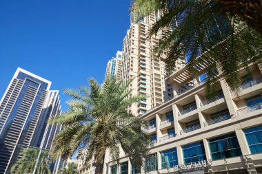 Dubai, BİRLİK ARAB EMIRATES - 22 Kasım 2019: Güneşli bir günde alçak açılı, palmiye ağaçlarıyla Dubai şehir merkezindeki modern gökdelenler