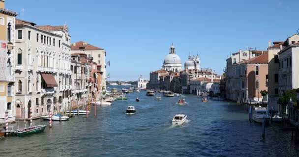 Grand Canal Velencében Szent Mária egészségügyi bazilika, tiszta kék ég Olaszországban — Stock videók