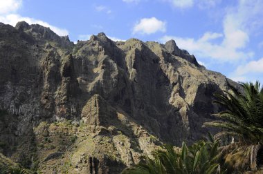 Doğal dağ geçidi, volkanik kayalıklarla ve Masca, Tenerife, Kanarya Adaları'nda kıt bitki örtüsü