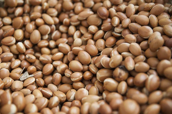 Fondo alimentario - semillas de argán — Foto de Stock