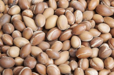 Yerel Fas marketler, Marakeş, Fas argan meyve yığını
