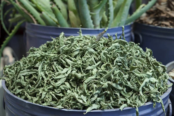 Getrocknete Stevia rebaudiana Blätter — Stockfoto