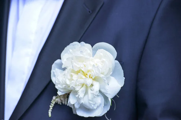 Közeli kép: vőlegény visel fehér bazsarózsa boutonniere — Stock Fotó