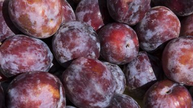 Olgun ve sulu Erik Farmer's Market gün ortasında güneş ışığı altında büyük miktarda
