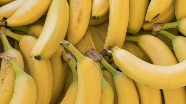 Olgun, sağlıklı muz Farmer's market gün ortasında güneş ışığı altında görüntülemenin büyük miktarda