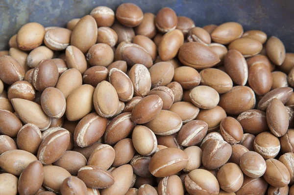 Piyasada Argania spinosa, en değerli ürün argan meyve sepeti veya Marakeş, Fas Argan ağacı, medinas, olarak bilinen