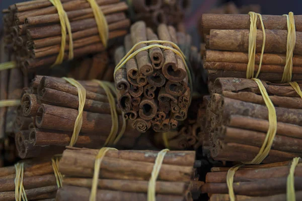 Raw cinnamon sticks in bundles, in a traditional Moroccan market called souk in Marrakesh