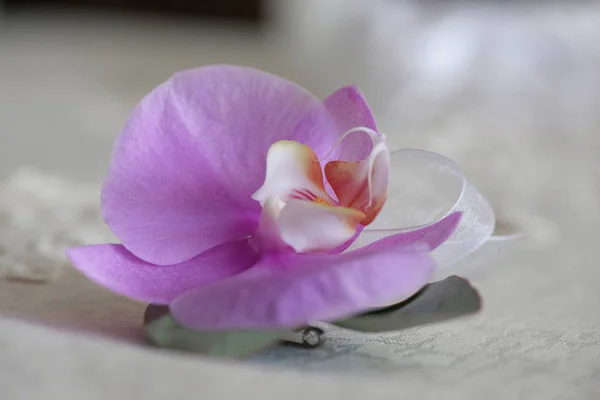 Orquídea Roxa Pequeno Buquê Para Casa Botão Acessório Casamento Tradicional — Fotografia de Stock