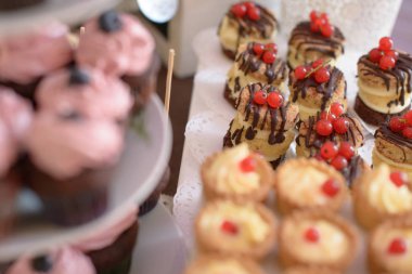 Lezzetli tatlı çeşitler kekler, pastalar ile kırmızı kuş üzümü ve muhallebi yumurta tart ile seçici odak, dar kırpılmış ve bir tabloda görüntülenen