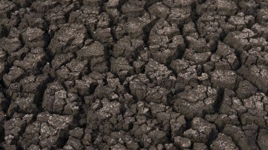 Kurumuş toprak çatlaklar ve kuruluk nedeniyle tarım arazileri, yetersiz ihtimali sonra etkileyen kuraklık iklim değişikliği önemli bir endişe gösterilen