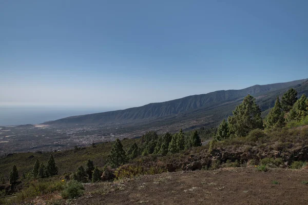 島の東海岸に位置するグイマル渓谷の緑の斜面の眺め ミラドル チヴィサヤとして知られている観点から見られるように Carreteraロス ロロス テネリフェ島 カナリア諸島 スペイン — ストック写真