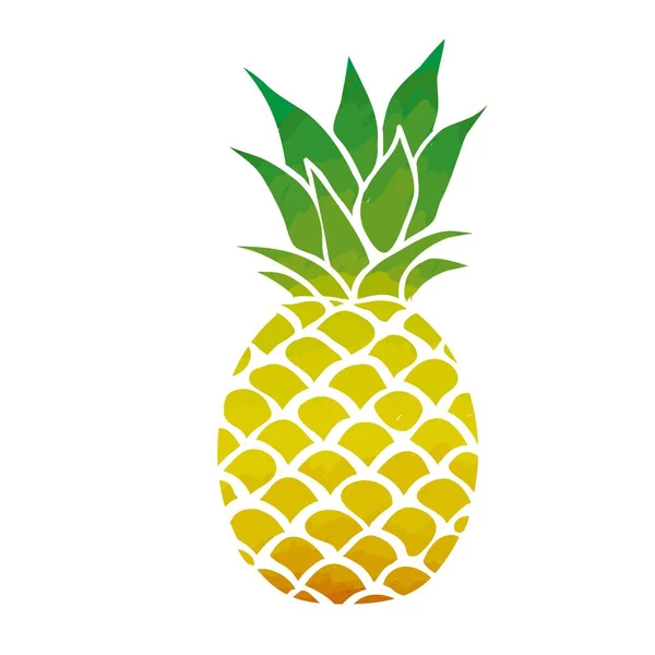 Illustration Ananasfrüchte — Stockfoto