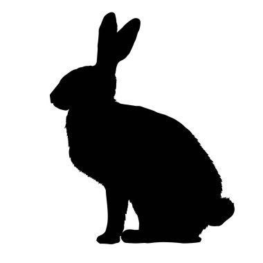  siyah tavşan siluet