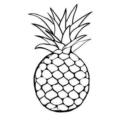 Ananas Meyve illüstrasyon