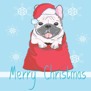 Noel şapkalı şirin bulldog