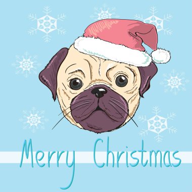 Noel şapkalı şirin bulldog