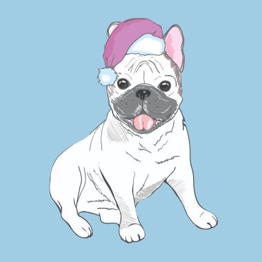 Noel şapkalı şirin bulldog