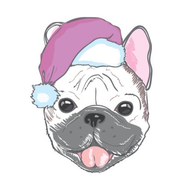 Noel şapkalı şirin bulldog