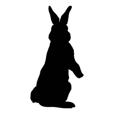  siyah tavşan siluet