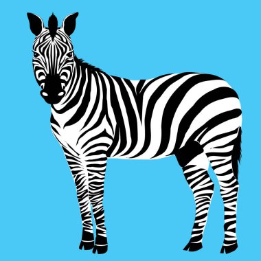  Renk soyut zebra 