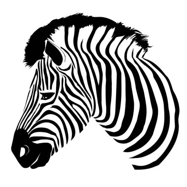  Renk soyut zebra 